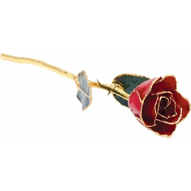 24kt Gold-Trimmed Forever Real Rose