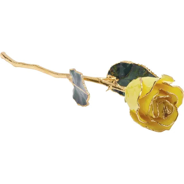 24kt Gold-Trimmed Forever Real Rose